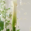 Collier KATE suspendu à un arum blanc, entouré de fleurs blanches et de graminées : chaîne dorée et bouton de fleur en porcelaine, by Marguerite