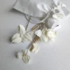 Set de 5 épingles de mariage. Epingles à chignon fleurs blanches et perles d'eau douce.